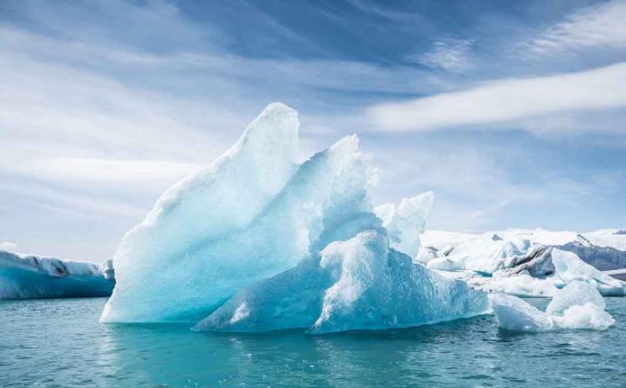 A Surprising Ecosystem Has Been Found Under Antarctica