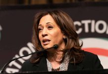 Kamala Harris's Immigration Policies: Impact on International Perceptions and Diplomacy