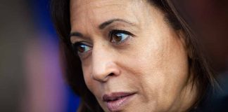 Public Reactions to Kamala Harris’s Donation and Its Impact on Her Political Image