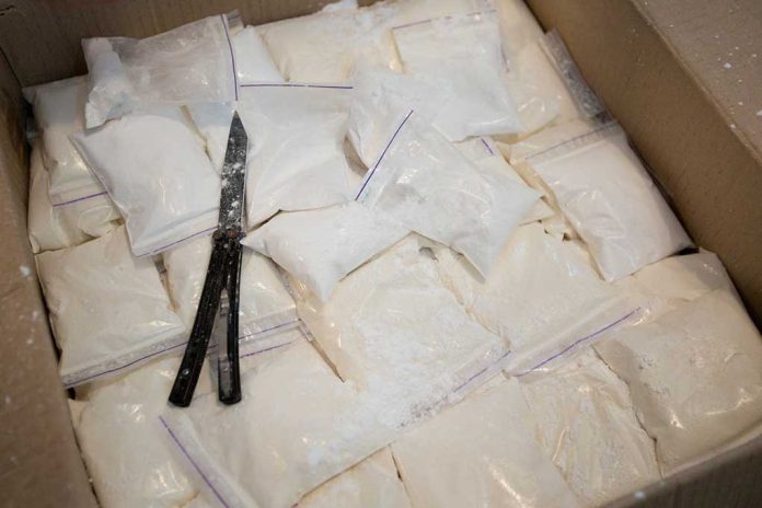 Bags of white powder with scissors in cardboard box.