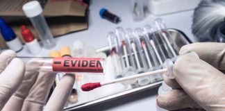 Gloved hands holding evidence tube and cotton swab.