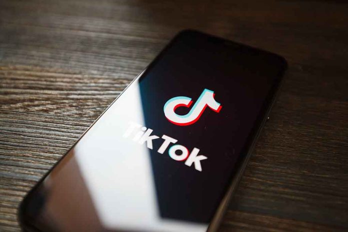 How Will a Possible TikTok Ban Impact Creators, Businesses?