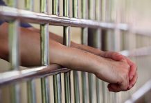 2 Arrested in Alleged Scheme Targeting Critic of Chinas Leader