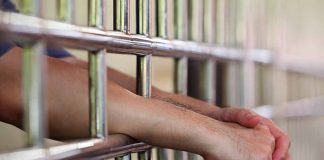 2 Arrested in Alleged Scheme Targeting Critic of Chinas Leader