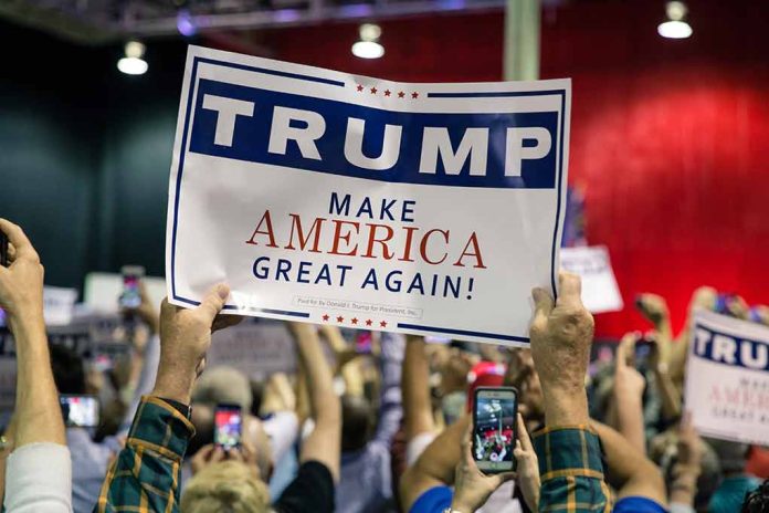 325937153 featured image Sign at crowded rally for Trump campaign