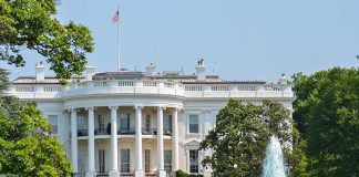 The White House surrounded by gardens and a fountain
