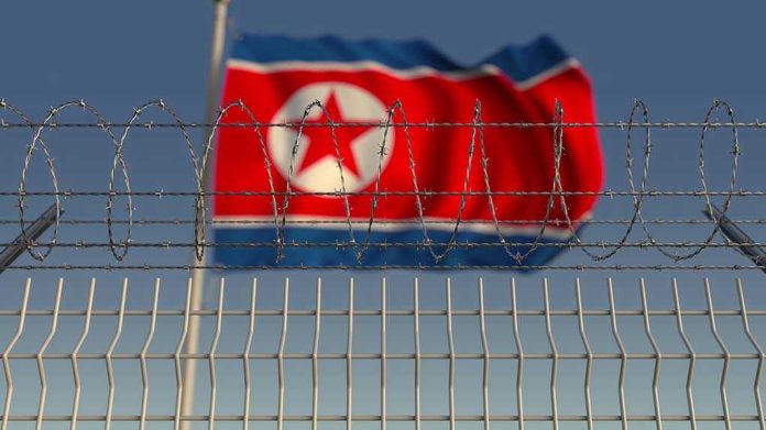 1336464401 Barbed wire fence with North Korean flag behind