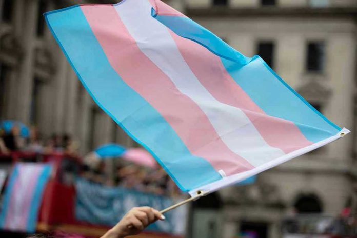 1449773558 Transgender flag waving in a crowded street.