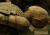 Close-up of an Egyptian mummy displayed in a museum