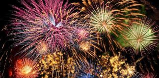 Colorful fireworks exploding in the night sky