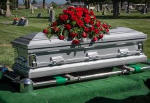 Silver casket with red roses in a cemetery.