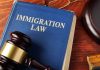 Immigration Judges CAUGHT – Bribed to Favor Migrants Blue immigration law book with wooden gavel.