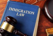 Immigration Judges CAUGHT – Bribed to Favor Migrants Blue immigration law book with wooden gavel.