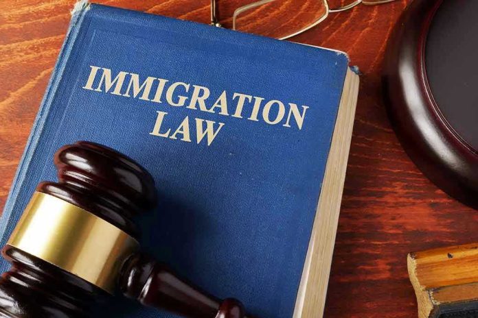 525426433 Blue immigration law book with wooden gavel.