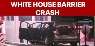 Van Smashes Through White House Barricades - Driver ARRESTED