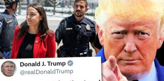 Dems Consider Dumbest Way to Get Rid of Trump