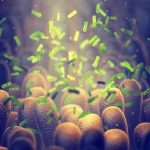 Dinner Plate to Dialysis: Beef Kofta Shock Triggers Lawsuit Green bacteria among intestine lining cells, microscopic view.