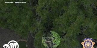 New video shows Porterville suspect being run over by BearCat: KCSO