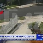 Veteran Actor Fatally Stabbed in LA Home Suspect in murder of actor James Handy had history of mental illness, neighbors say; new video relea