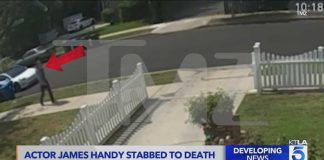 Suspect in murder of actor James Handy had history of mental illness, neighbors say; new video relea