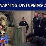 LAPD Welfare Check Turns Deadly Woman says LAPD officer shot and killed her dog outside Canoga Park home