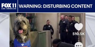 LAPD Welfare Check Turns Deadly Woman says LAPD officer shot and killed her dog outside Canoga Park home