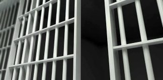 Close-up view of metal prison bars in a dark environment