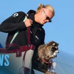 World Cup: Erling Haaland Took Home Taxidermy Raccoon—Because Why Not | E! News