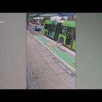 Commuter Chaos: Goats Board City Bus Two loose pygmy goats hop aboard a Portland bus before disappearing