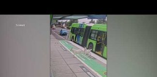 Two loose pygmy goats hop aboard a Portland bus before disappearing