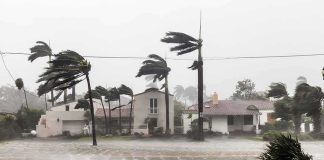 The Lunch Break That Saved a Classroom and Students Houses battered by hurricane winds and flooding