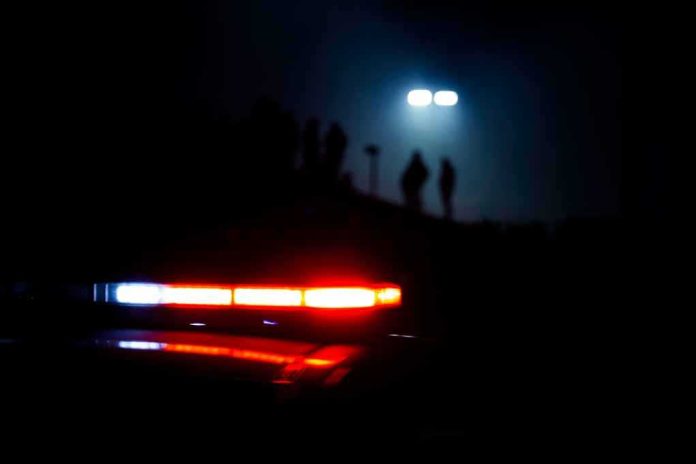 shutterstock_1481272940 Police car lights at night with silhouettes in the distance