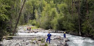 A Simple River Trip Became a Fight to Survive Rescue workers in helmets standing along a fast-flowing forest river