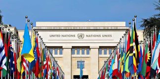 Starlink Offer Sparks Viral UN Moment United Nations building with numerous national flags outside.