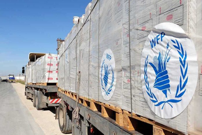 shutterstock_143248915 Humanitarian aid trucks loaded with palletized supplies
