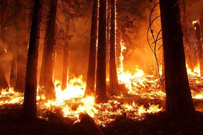 shutterstock_1443186653 Forest wildfire engulfing trees at night