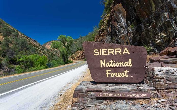 Sierra National Forest roadside sign by winding mountain highway