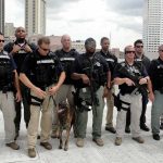 Arrests Soar: Crime Falls as Federal Crackdowns Expand Nationwide Group of law enforcement officers with tactical gear and a K9
