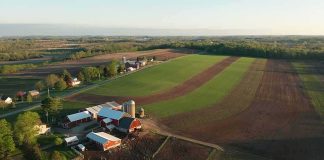 Aerial view of a farm with red barns and expansive green and brown fields