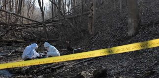 forensic investigators in white suits examine a forested stream within taped-off area