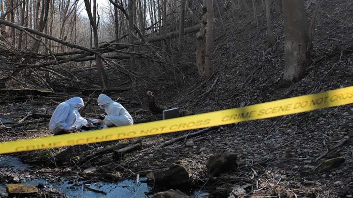 shutterstock_1858519162 forensic investigators in white suits examine a forested stream within taped-off area