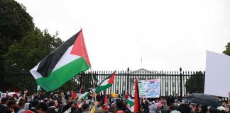 Crowd holding flags and signs outside a fenced government building