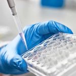 Scientists Discover Natural “Off Switch” for Inflammation Gloved hand holding a multiwell plate as a pipette dispenses liquid