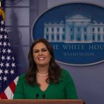 California Debate Centers on Disputed Quote woman speaking at a White House press briefing podium